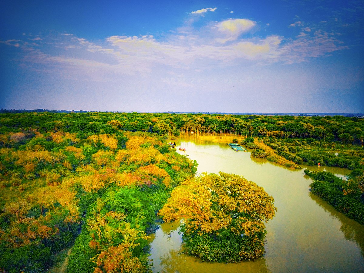 Ratargul Swamp Forest