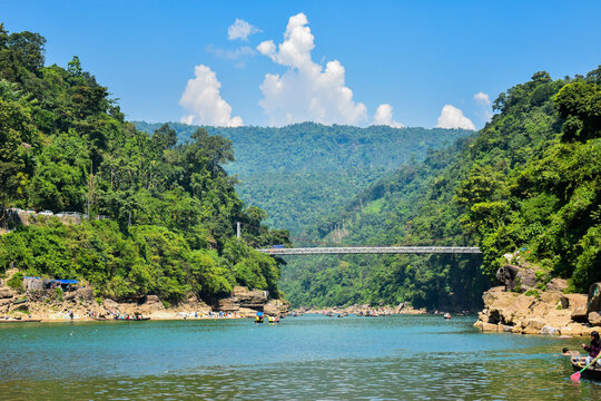 Jaflong Tea Gardens